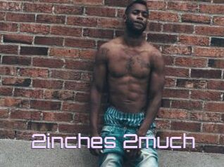 2inches_2much