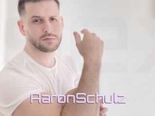 AaronSchulz