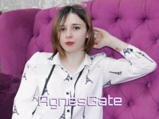 AgnesGate