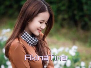 AkinaTina