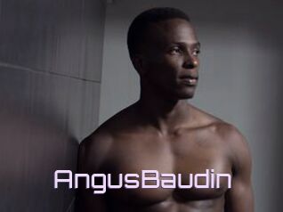 AngusBaudin