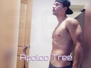 Apoloo_Tree