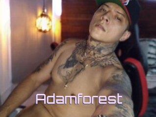 Adamforest
