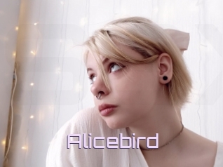 Alicebird