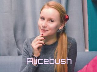 Alicebush