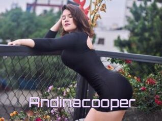 Andinacooper