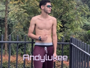 Andylukee