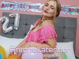 Antonellatender