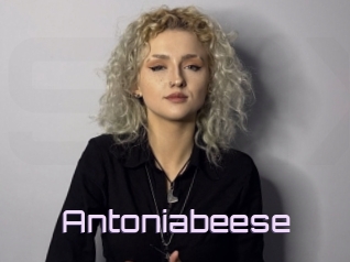 Antoniabeese