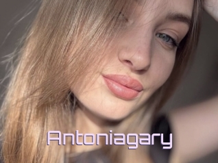 Antoniagary