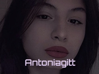 Antoniagitt