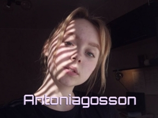Antoniagosson