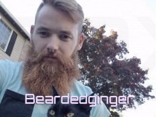 Beardedginger