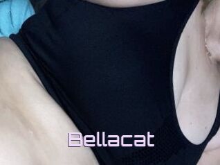 Bellacat