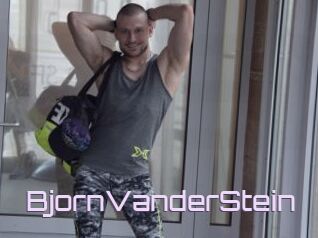 BjornVanderStein
