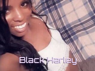 Black_Harley