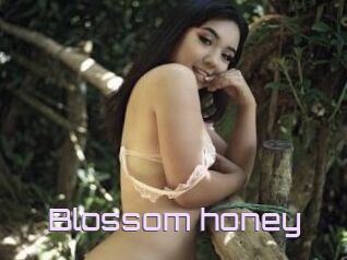 Blossom_honey