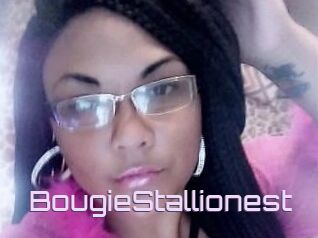BougieStallionest