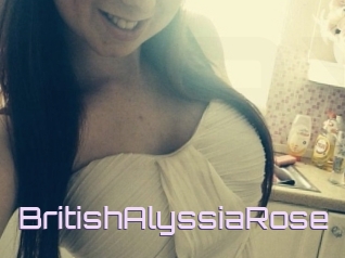 BritishAlyssiaRose