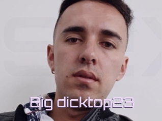 Big_dicktop23