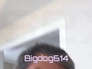 Bigdog614
