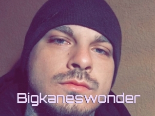 Bigkaneswonder