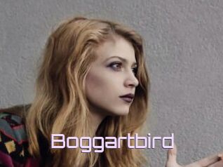 Boggartbird