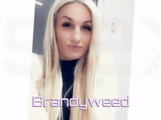 Brandyweed