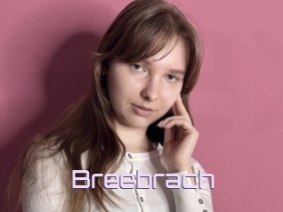 Breebrach