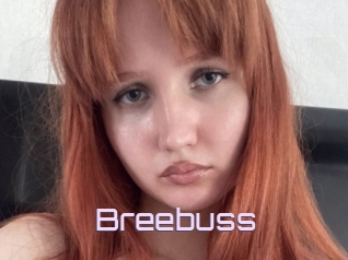 Breebuss