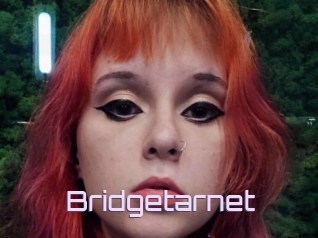 Bridgetarnet