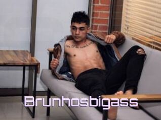 Brunhosbigass