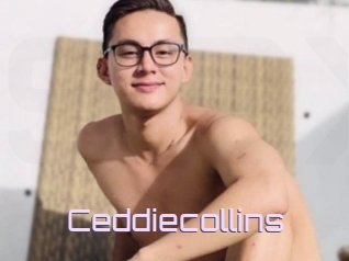 Ceddiecollins