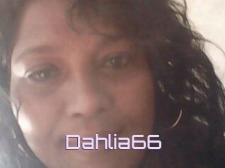 Dahlia66