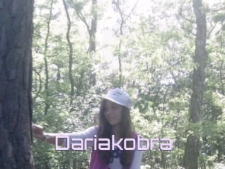 Dariakobra