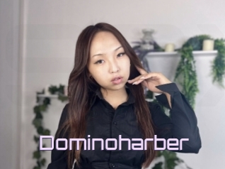 Dominoharber