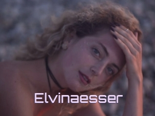 Elvinaesser