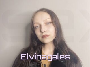 Elvinagales
