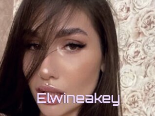 Elwineakey