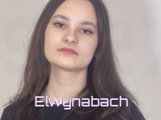Elwynabach