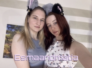 Esmaandmatia