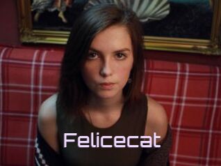 Felicecat