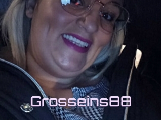Grosseins88