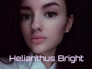 Helianthus_Bright