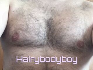 Hairybodyboy