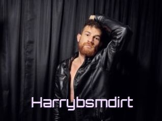 Harrybsmdirt