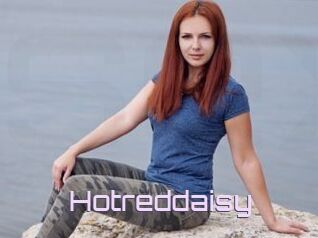 Hotreddaisy
