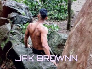 JAK_BROWNN