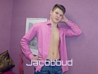 Jacobbud