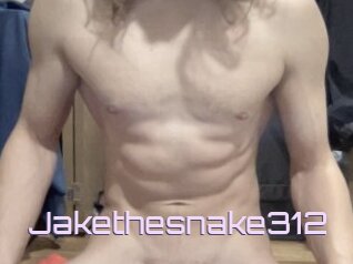 Jakethesnake312